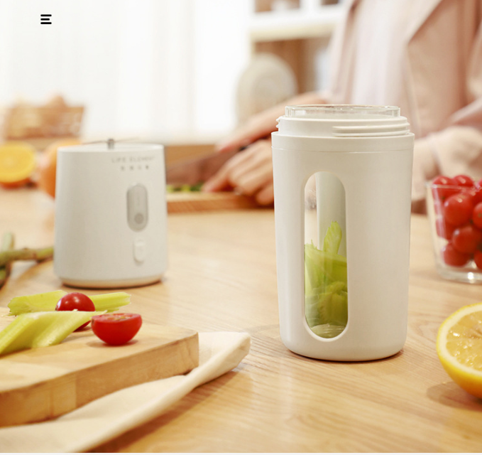 Household Fruit Juicer